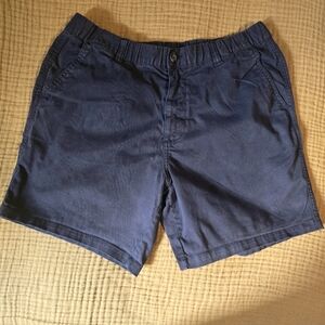 BearBottom Stretch Shorts